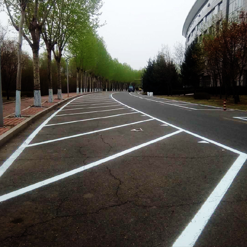 2018年哈尔滨市政府院区标线施划