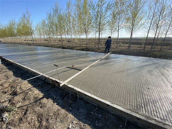 2020年齐齐哈尔市富裕县村